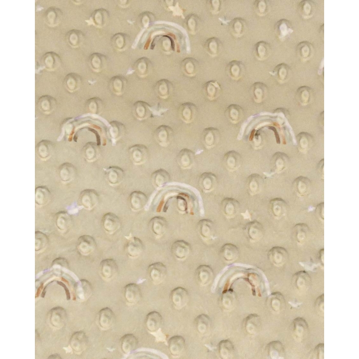 Minky dots digital little ones rainbow 6025