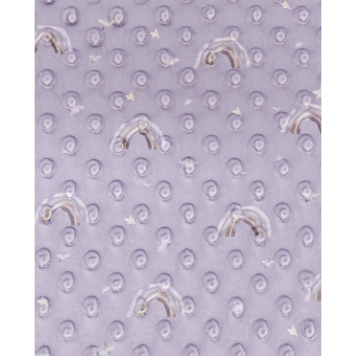Minky dots digital little ones rainbow 6025
