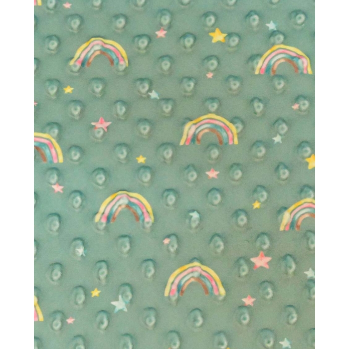 Minky dots digital little ones rainbow 6025