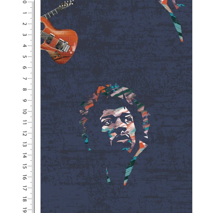 French terry digital toff Jimi Hendrix 5137