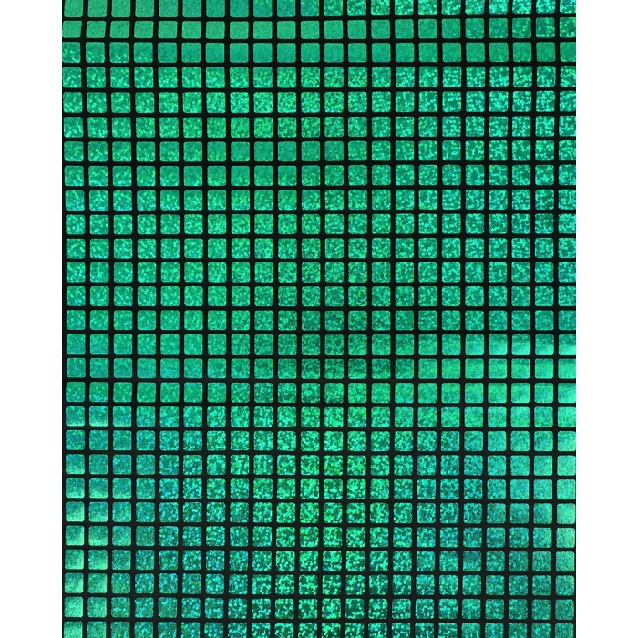 Check Hologram Foil 5658