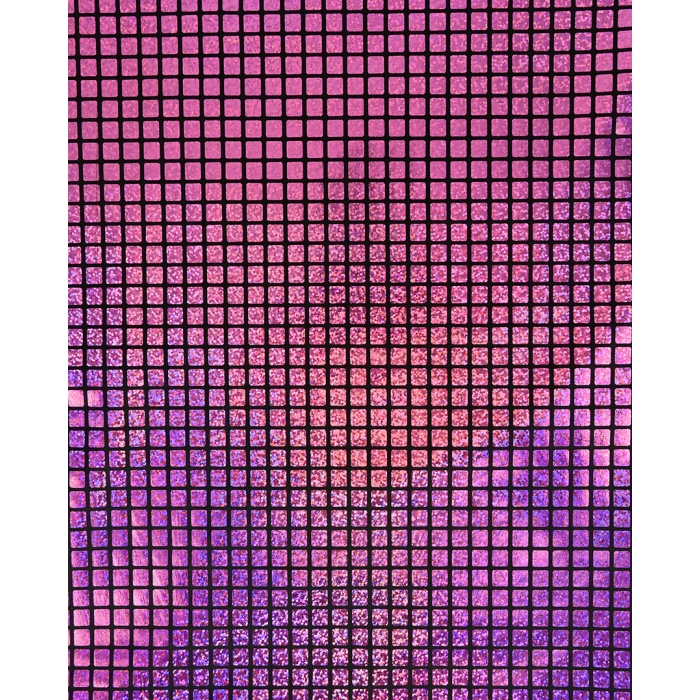 Check Hologram Foil 5658