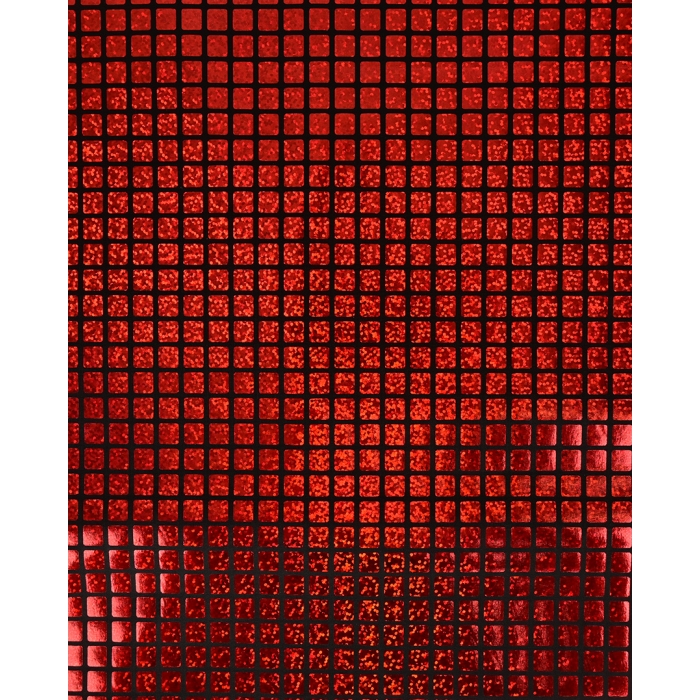 Check Hologram Foil 5658