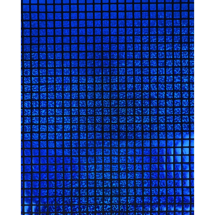 Check Hologram Foil 5658