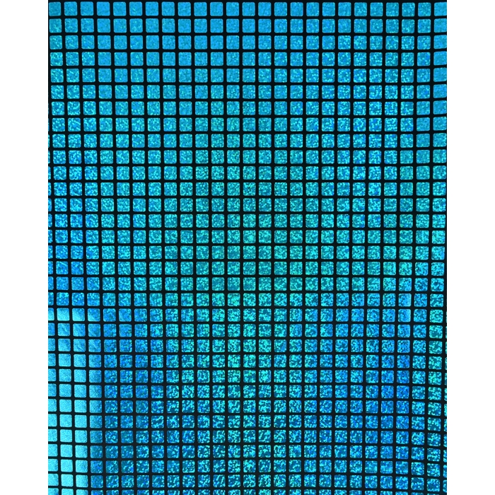 Check Hologram Foil 5658