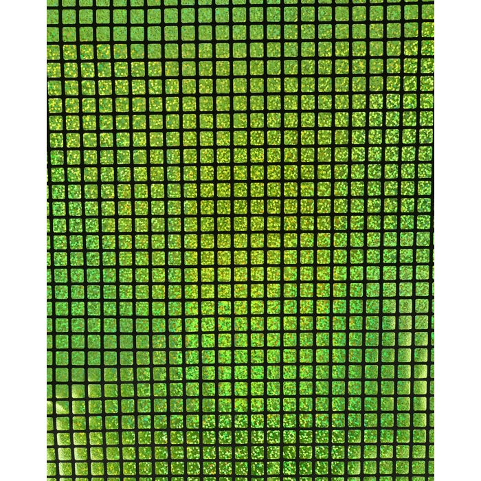Check Hologram Foil 5658