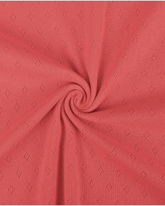 Pointelle Cotton 4693