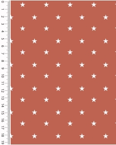 Poplin stars 4643