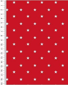 Poplin stars 4643