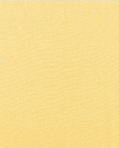 Silicone stretch poplin 5216