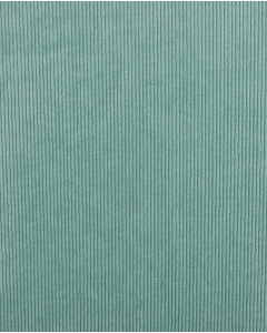 Corduroy 5404