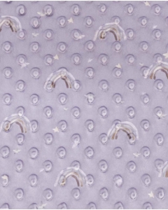 Minky dots digital little ones rainbow 6025