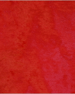 Velours de panne 6028