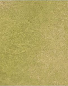 Velours de panne 6028