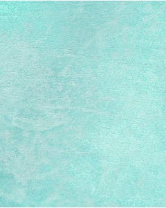 Velours de panne 6028