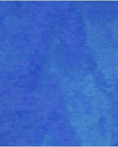 Velours de panne 6028