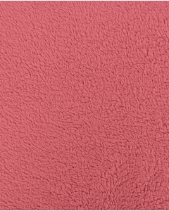 Cotton Teddy-9719