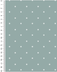 Jersey maritime stars 4594