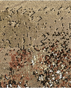 Sequin Shiny 5661