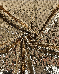 Sequin Shiny 5661