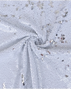Sequin Shiny 5661