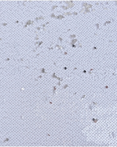 Sequin Shiny 5661