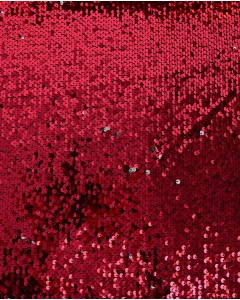 Sequin Shiny 5661