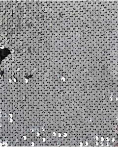 Sequin Shiny 5661