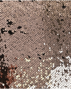 Sequin Shiny 5661