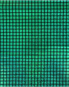 Check Hologram Foil 5658
