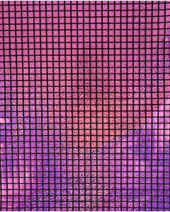 Check Hologram Foil 5658