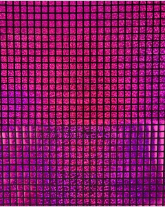 Check Hologram Foil 5658