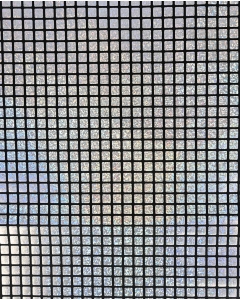 Check Hologram Foil 5658