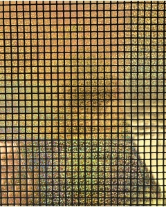 Check Hologram Foil 5658