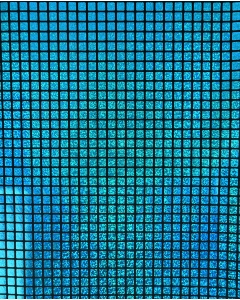 Check Hologram Foil 5658