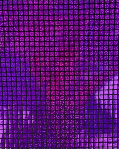 Check Hologram Foil 5658