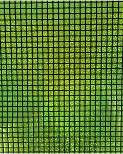 Check Hologram Foil 5658