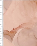 Silicone stretch poplin digital stylez aquarel 5219