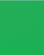 Silicone stretch poplin 5216