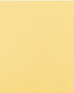 Silicone stretch poplin 5216