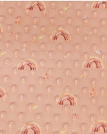 Minky dots digital little ones rainbow 6025