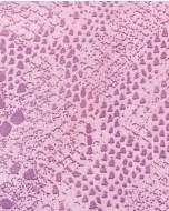 Suede lux snake foil-9584-511